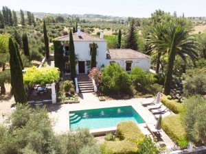 HUERTO DE LA CONDESA