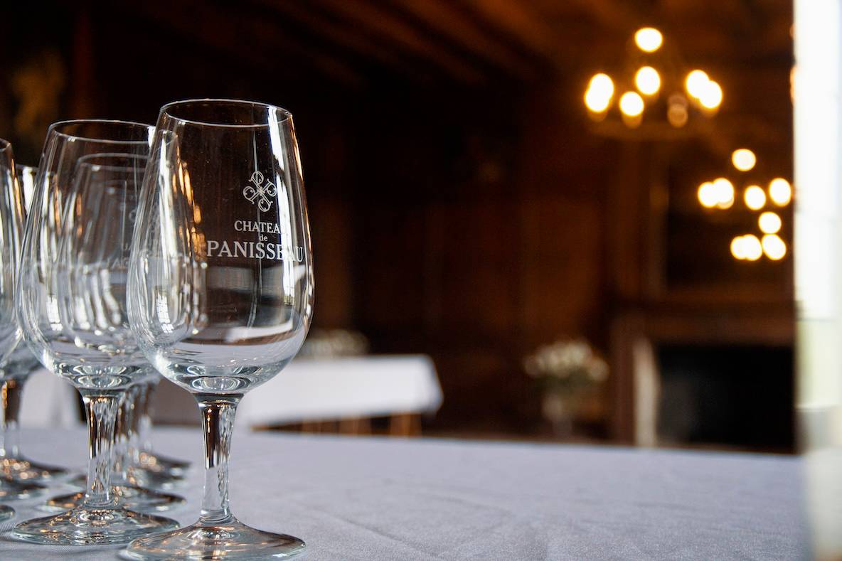 Visit to the vineyard & discovery of the cellar