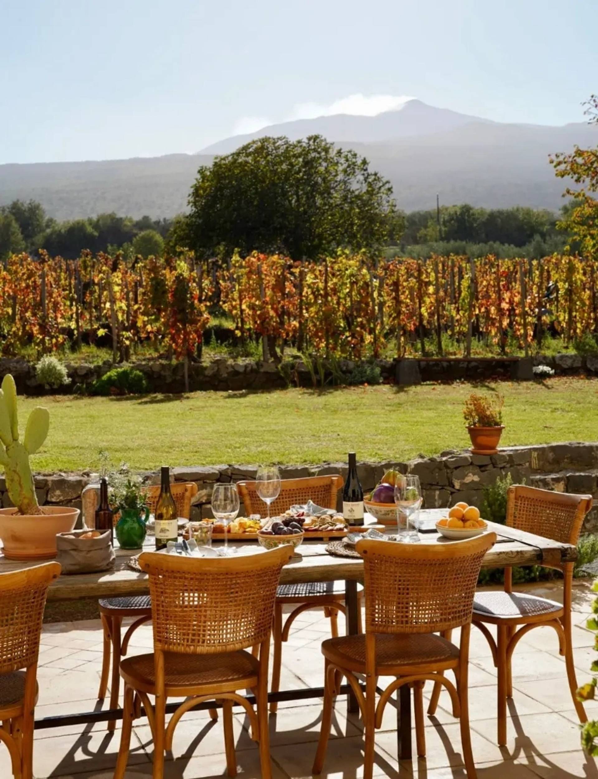 Tasting & Historical Vineyard Visit