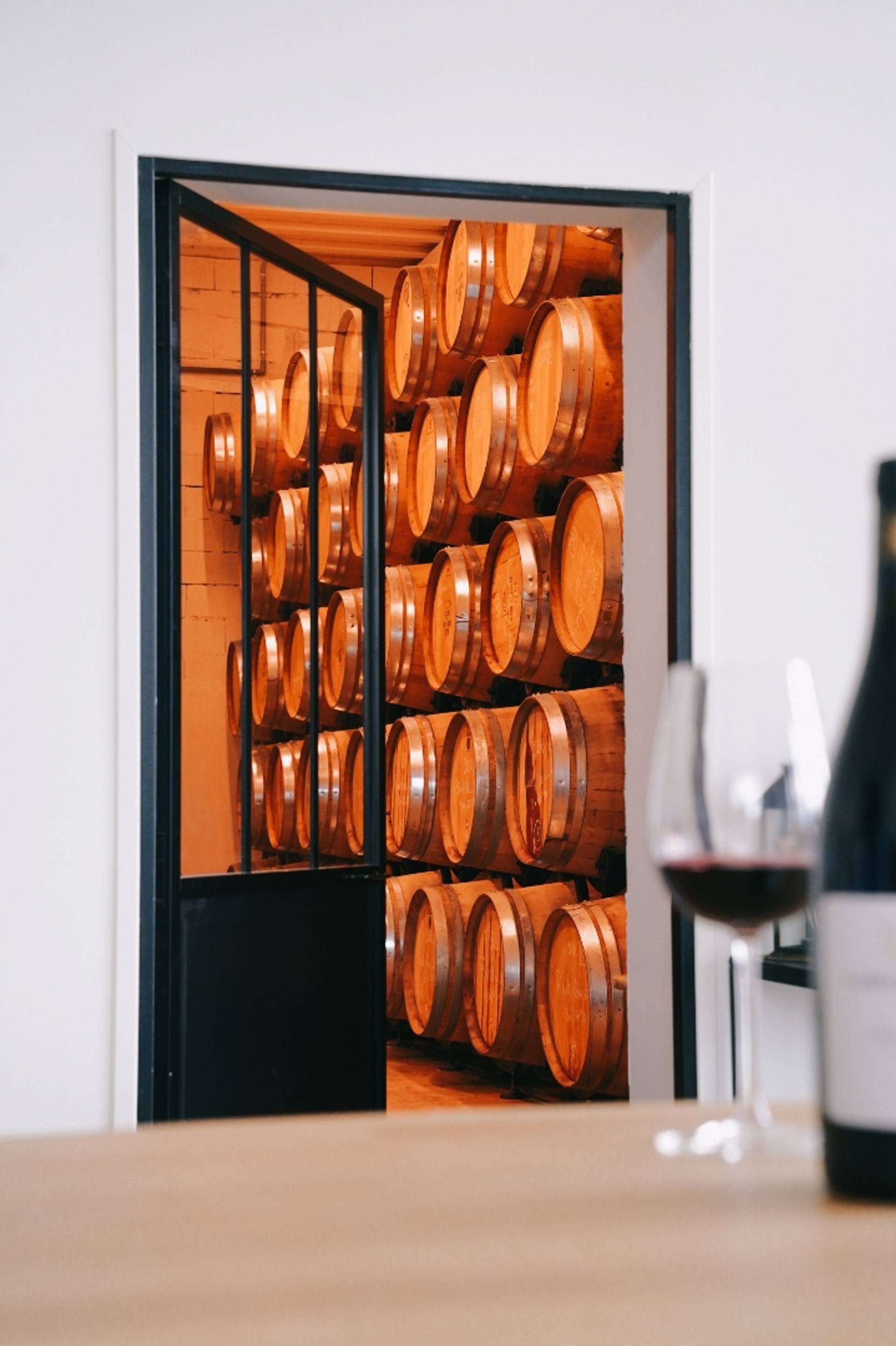 Visit of the estate and introduction to tasting