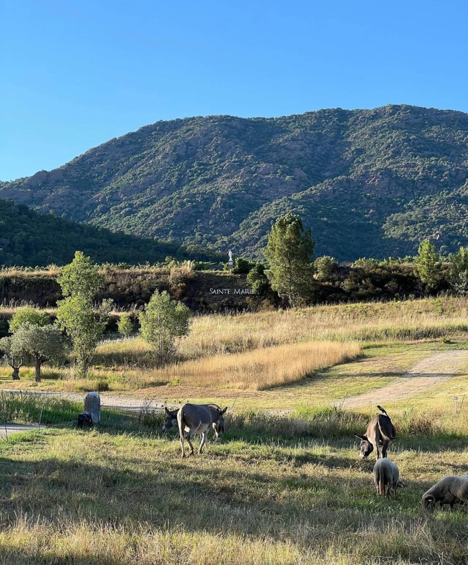 Mountain bike ride and tasting