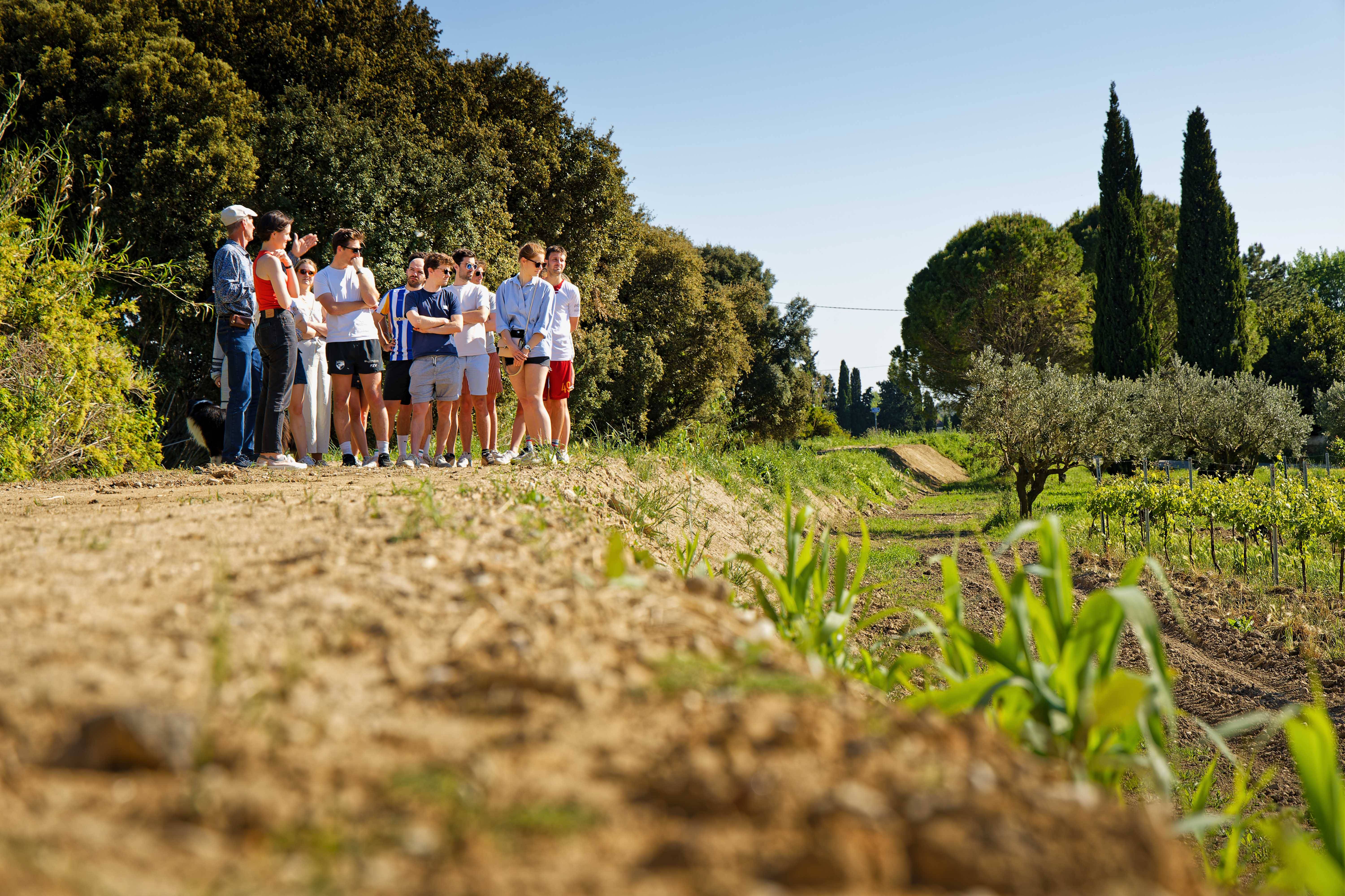Vineyard visit and cellar tasting