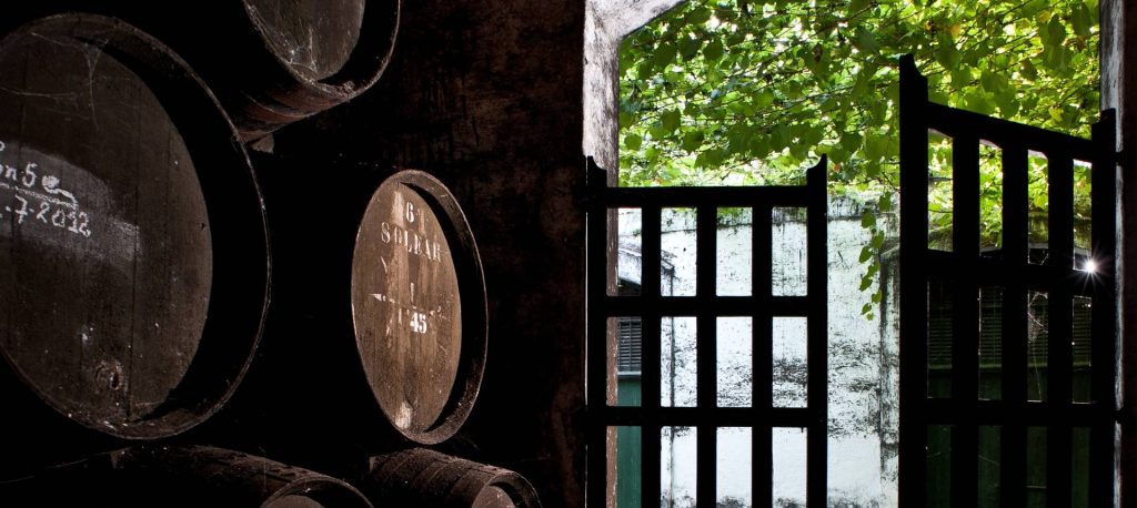 Private visit to wineries groups minimum 10 people