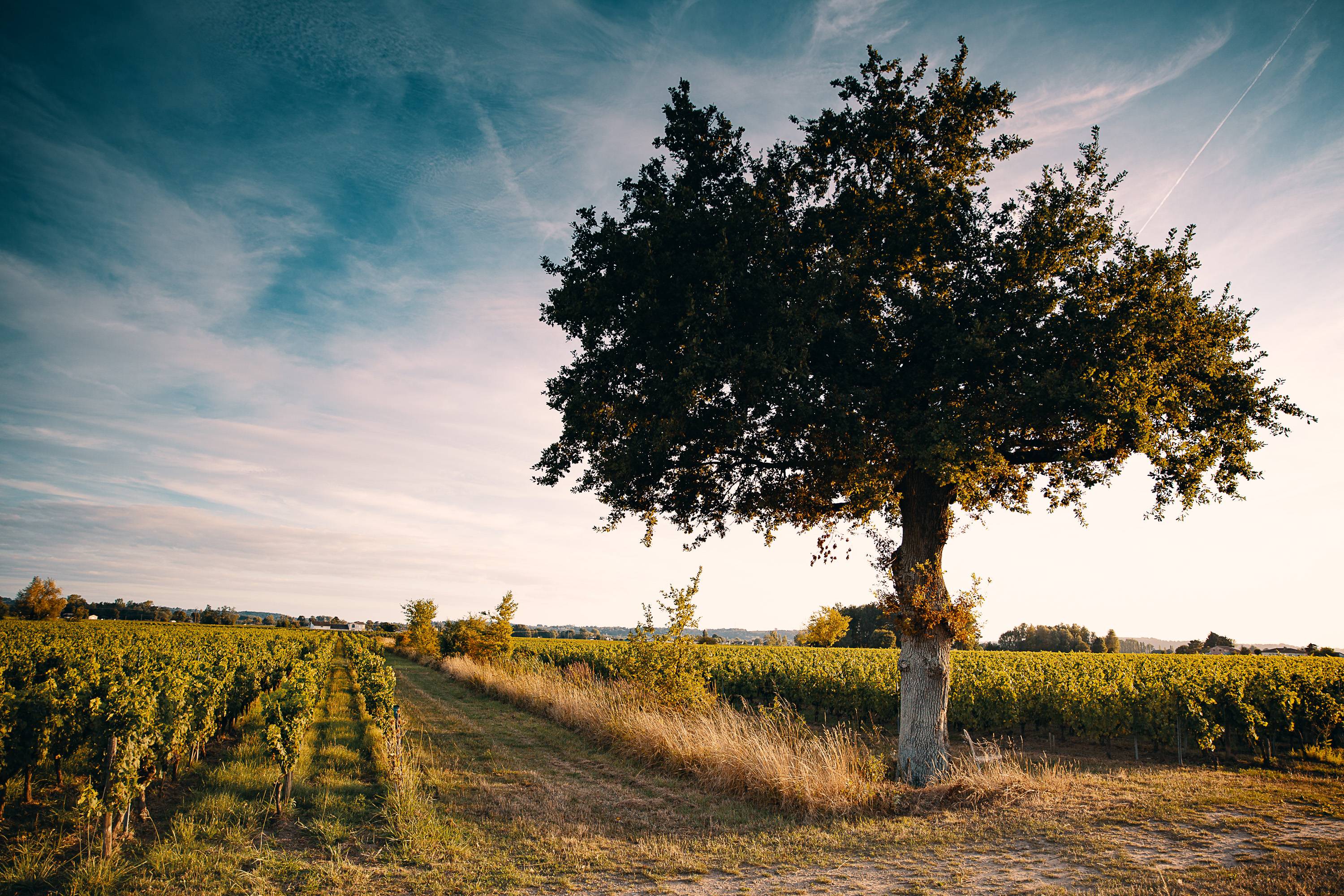 Visit with La Bulle Verte – 14km cycle route