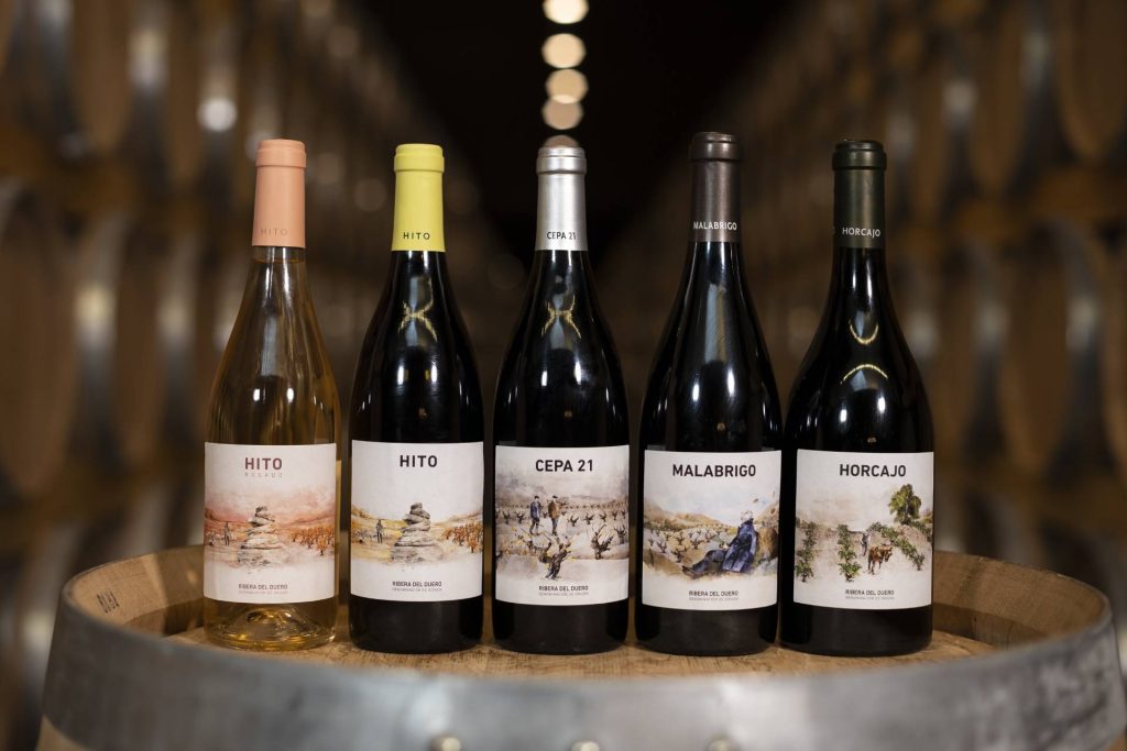 Tinto Fino Wine Pairing Experience