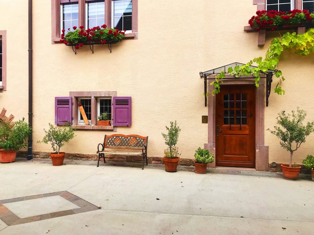 Visit and tasting at the Domaine