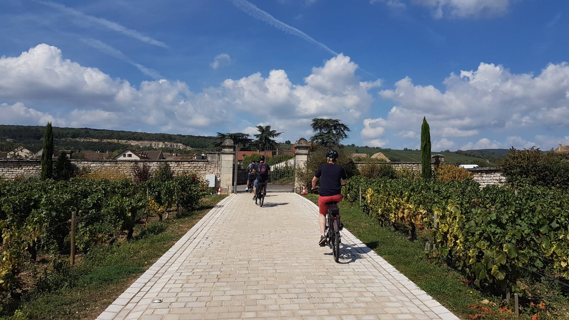Half day bike and wine in Burgundy