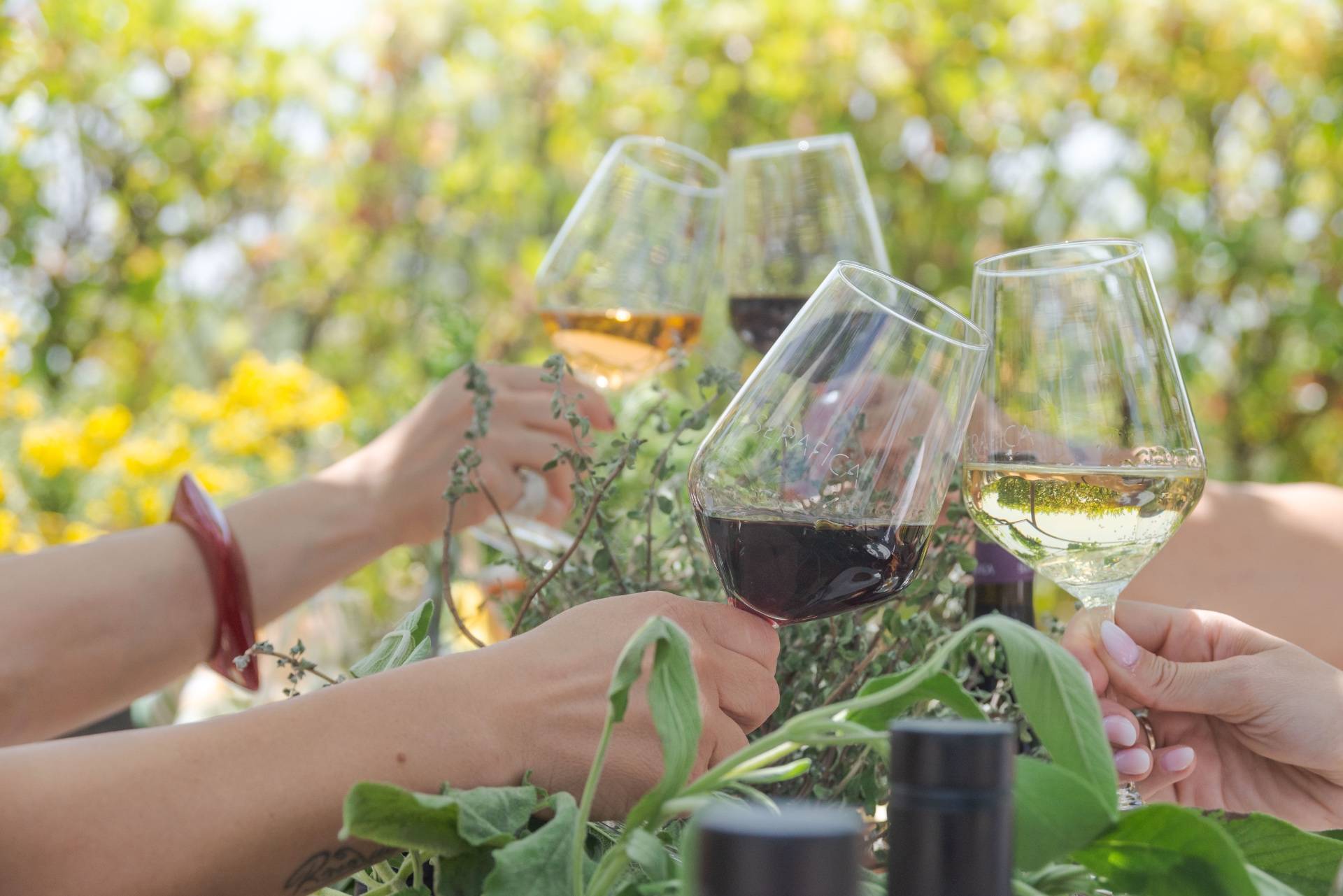 Grotte Wine & Olive Oil Experience