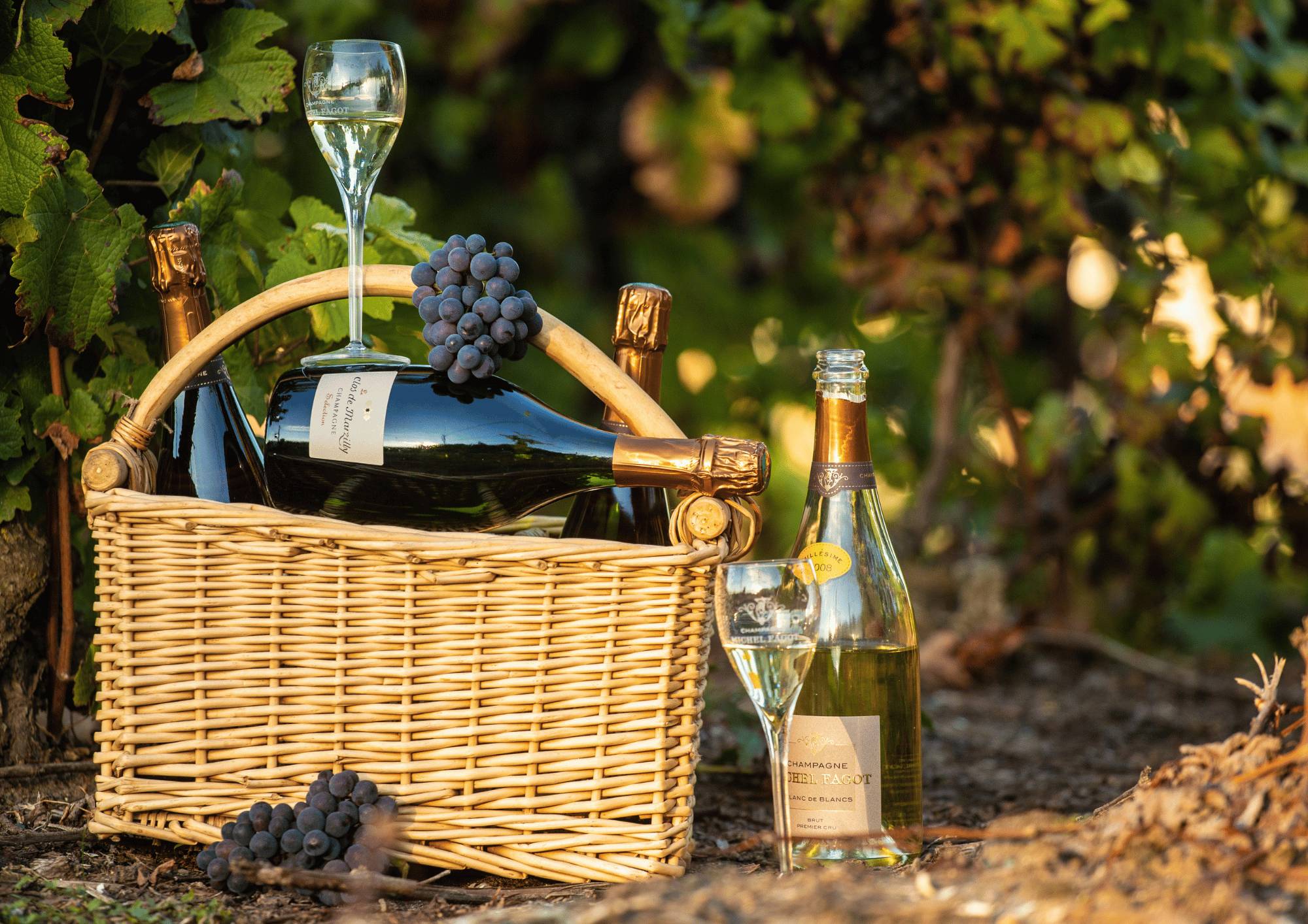 Racine & Terroir – 3 Champagnes