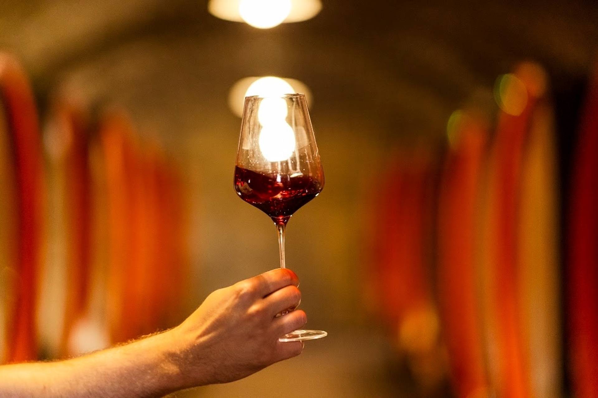 Wandering Tour and Tasting