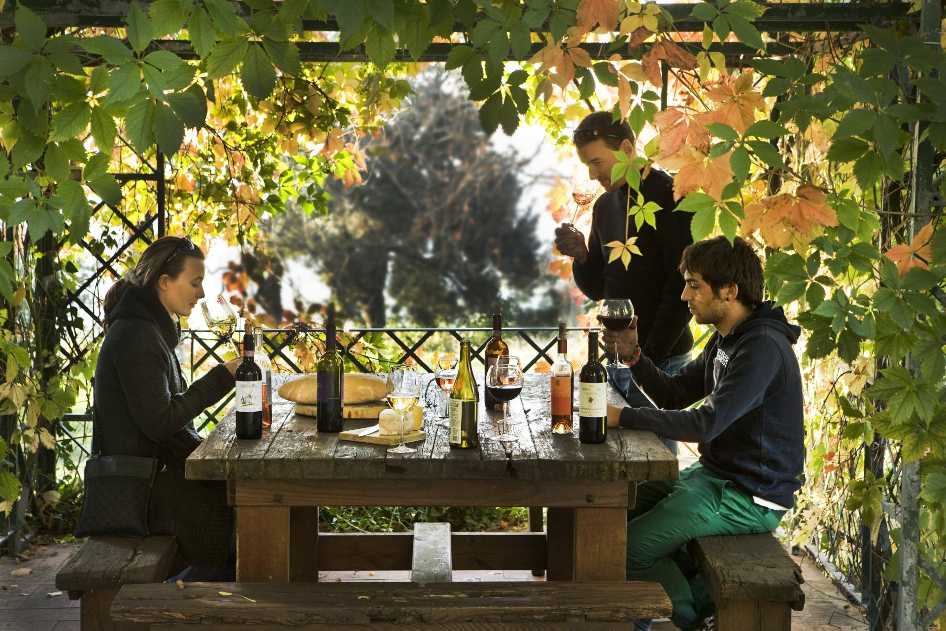 Biodynamic winery visit and tasting