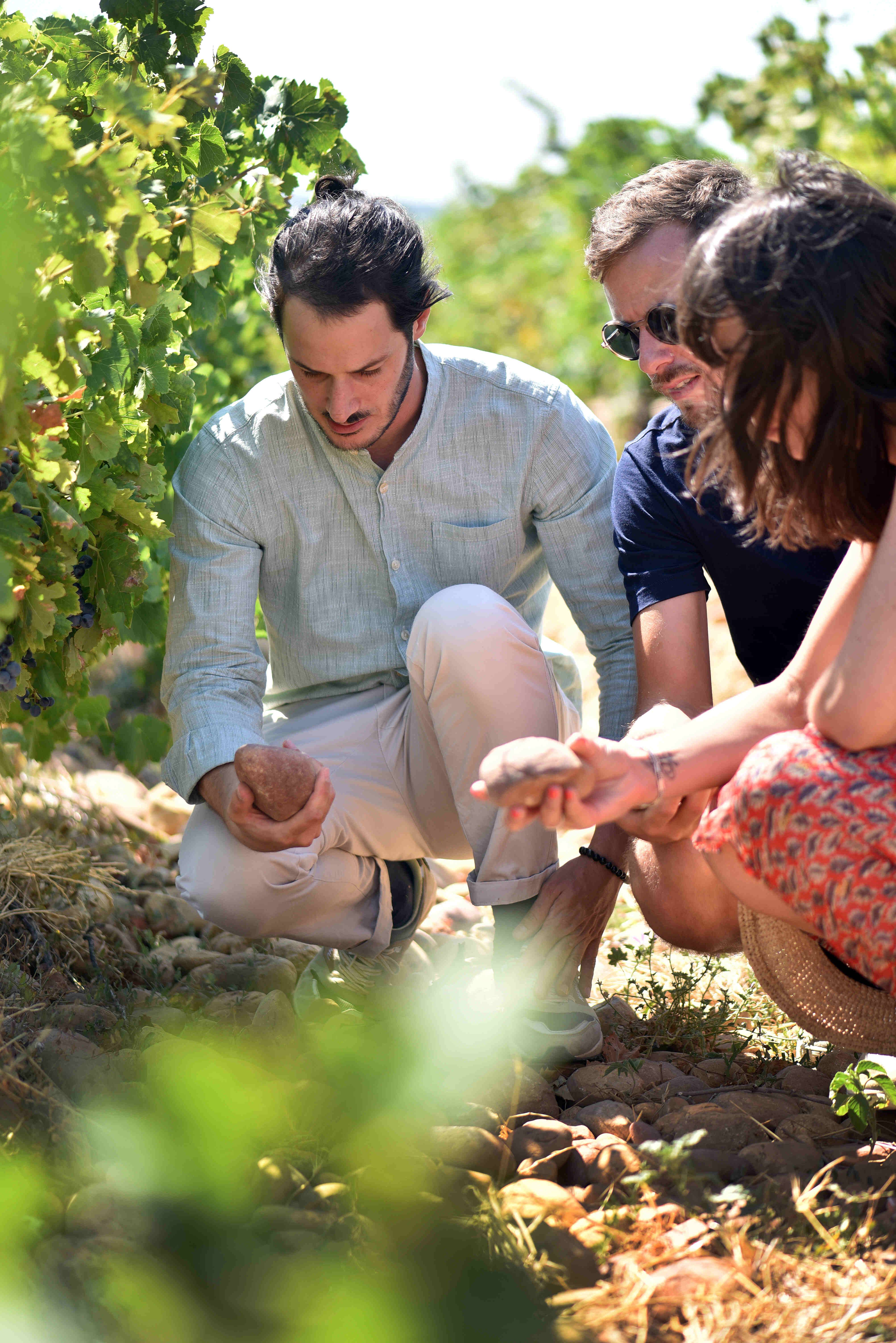 Visit and tasting in Châteauneuf-du-Pape
