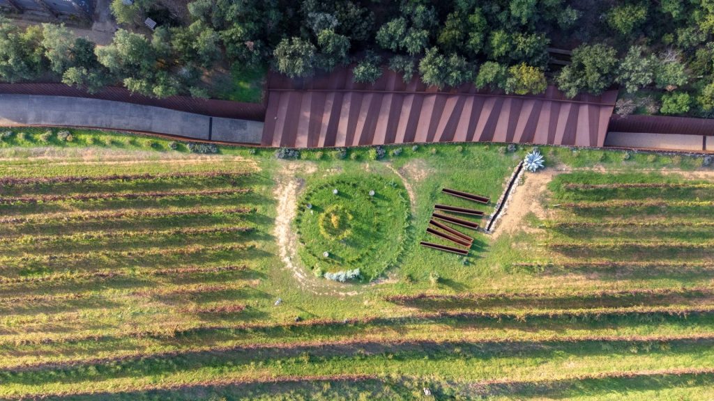 Guided tour and wine tasting