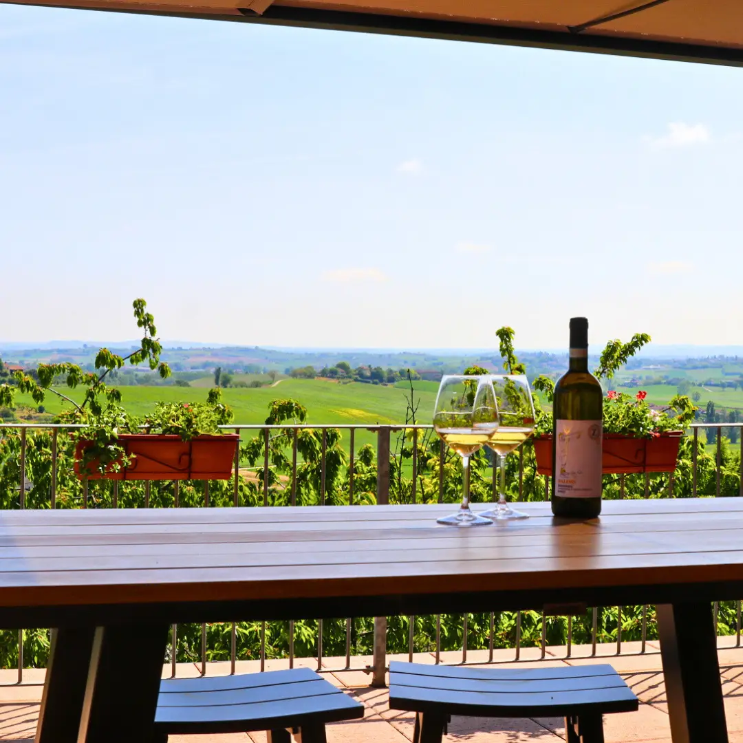 Tasting and tour of a historic winery