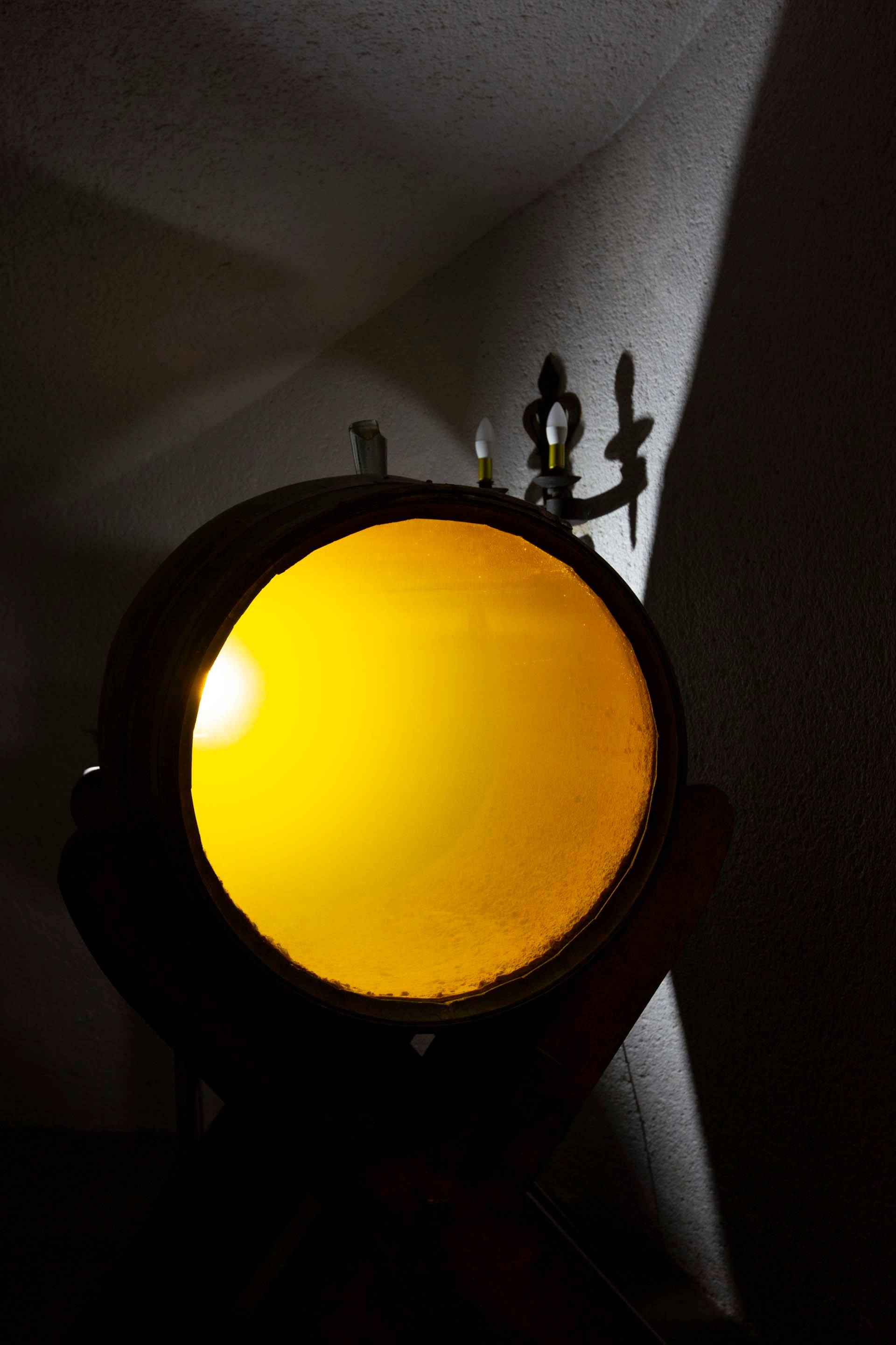 Visit to the vaulted cellars