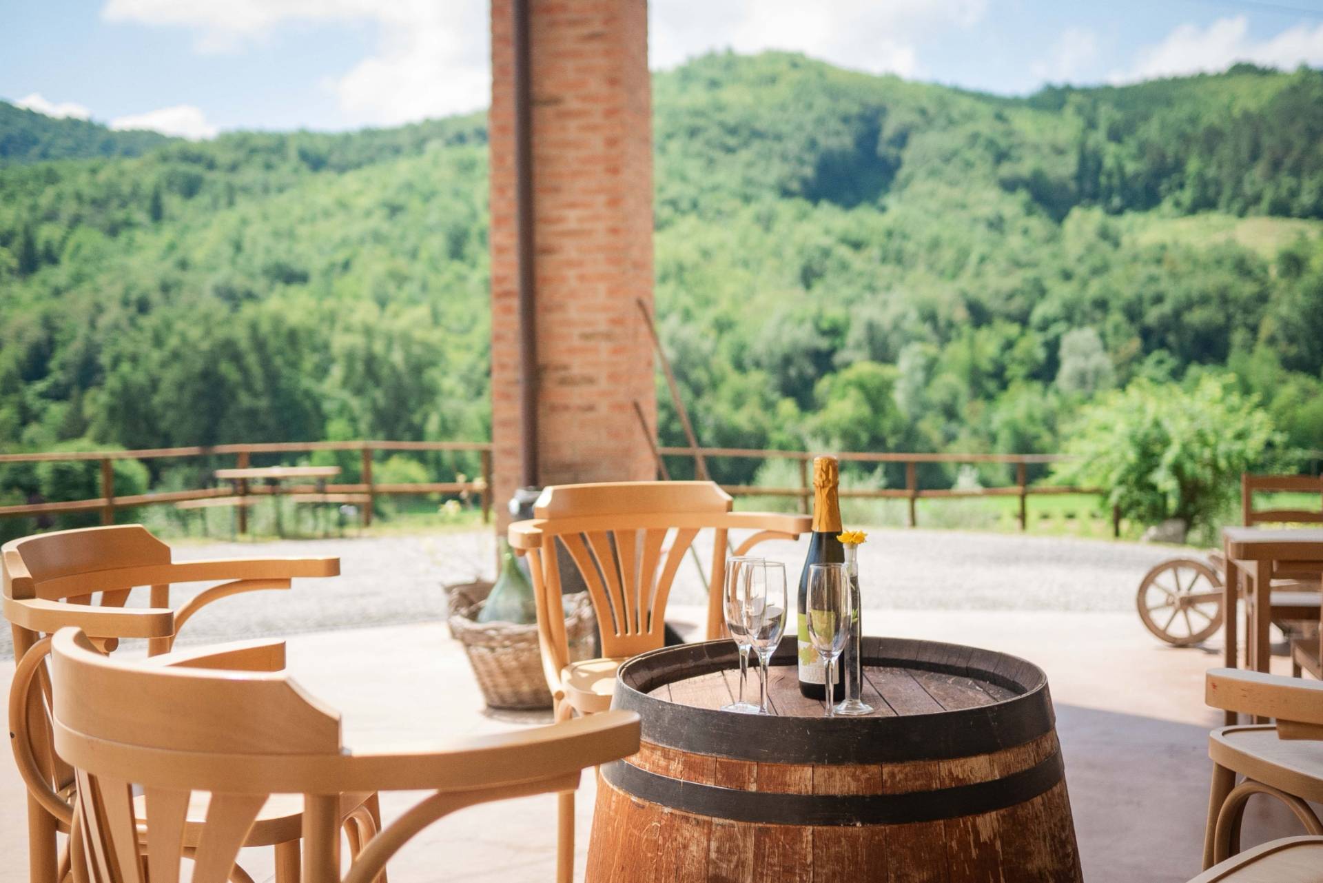 Knowing Regenerative Organic