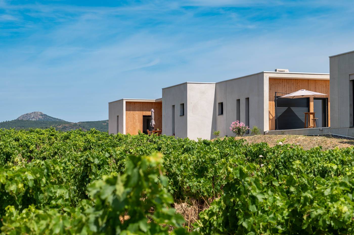 Sunset Party: July 25, 2026