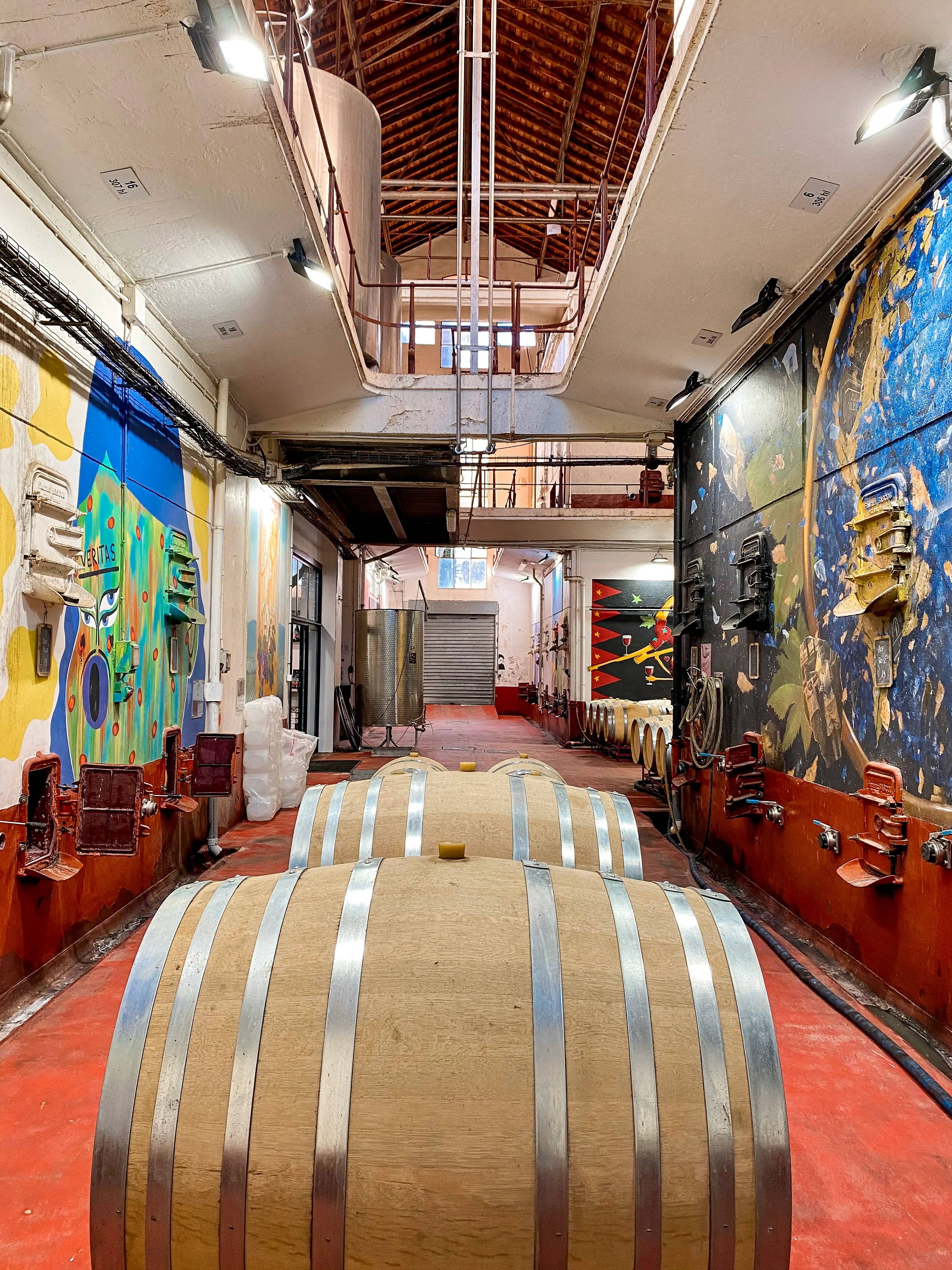 The art in the cellar