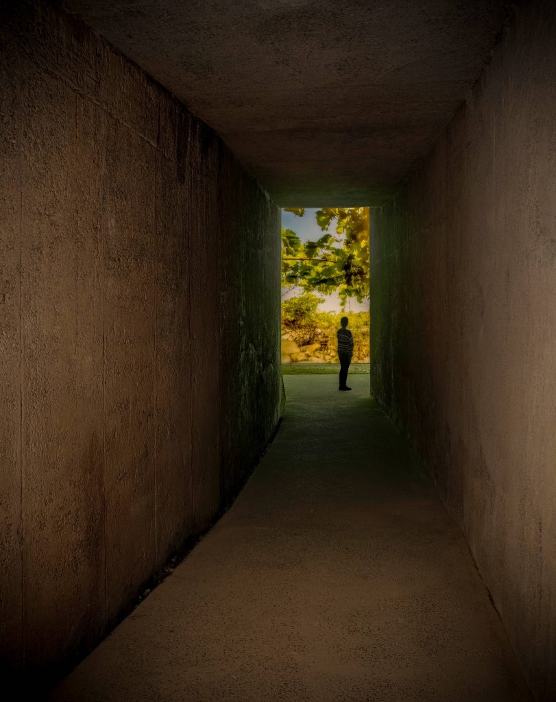Guided tour of the Perelada Winery