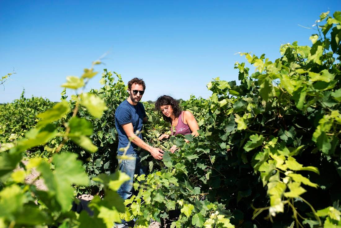 Montcalm’s Gatherings