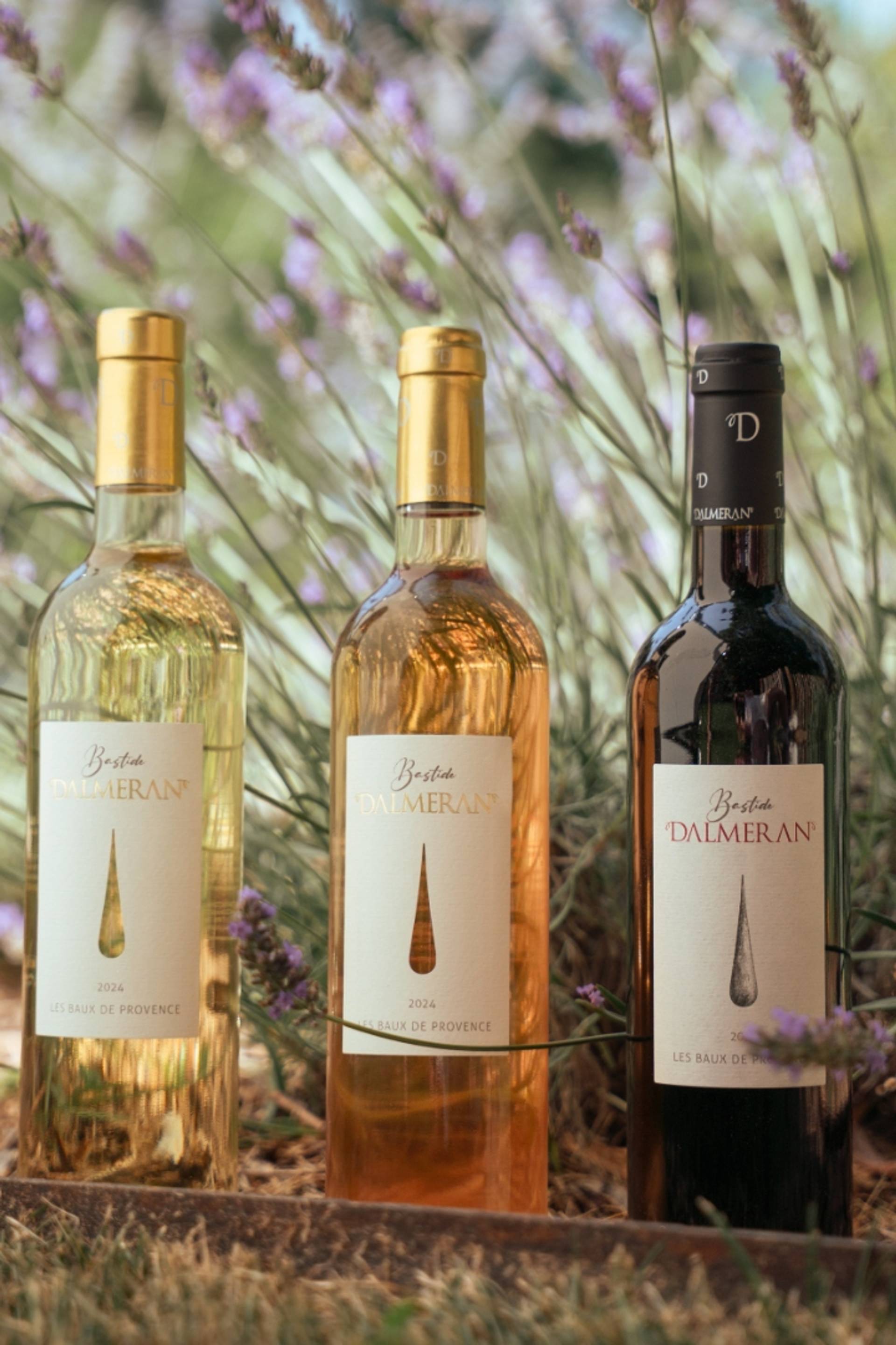 Introductory wine tasting workshop