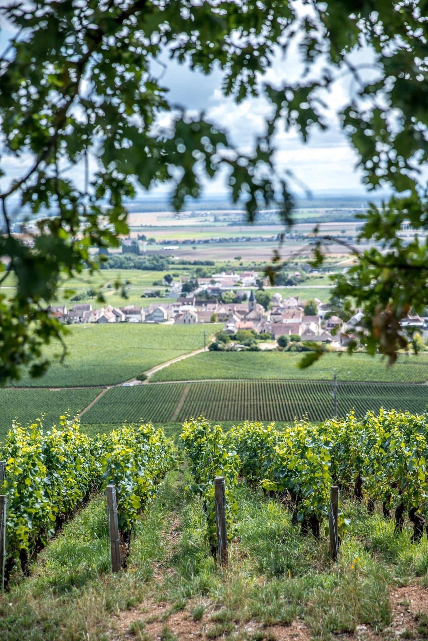 Wine Tour in the air