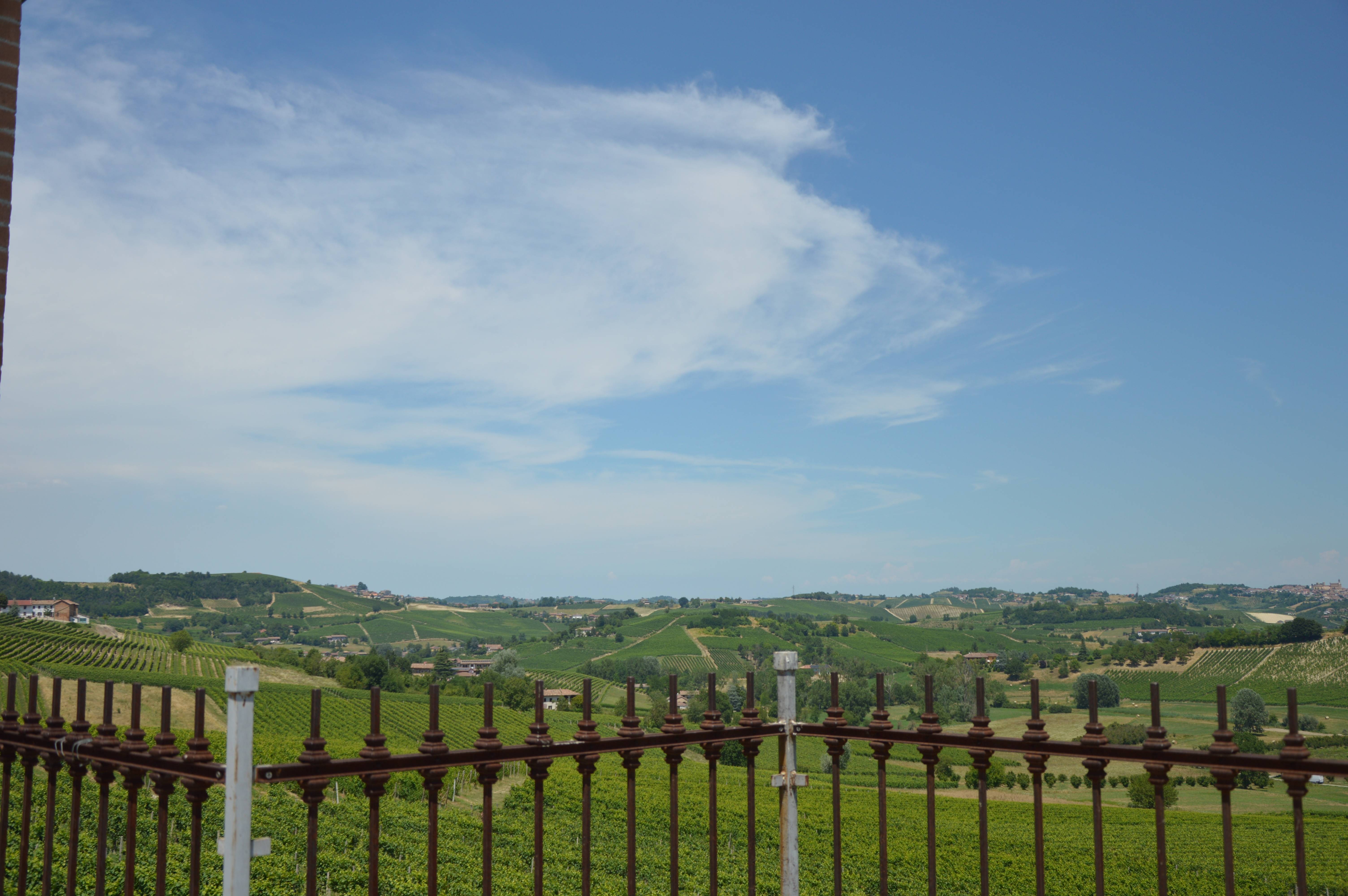 Wine Tour and Tasting between Langhe and Monferrato