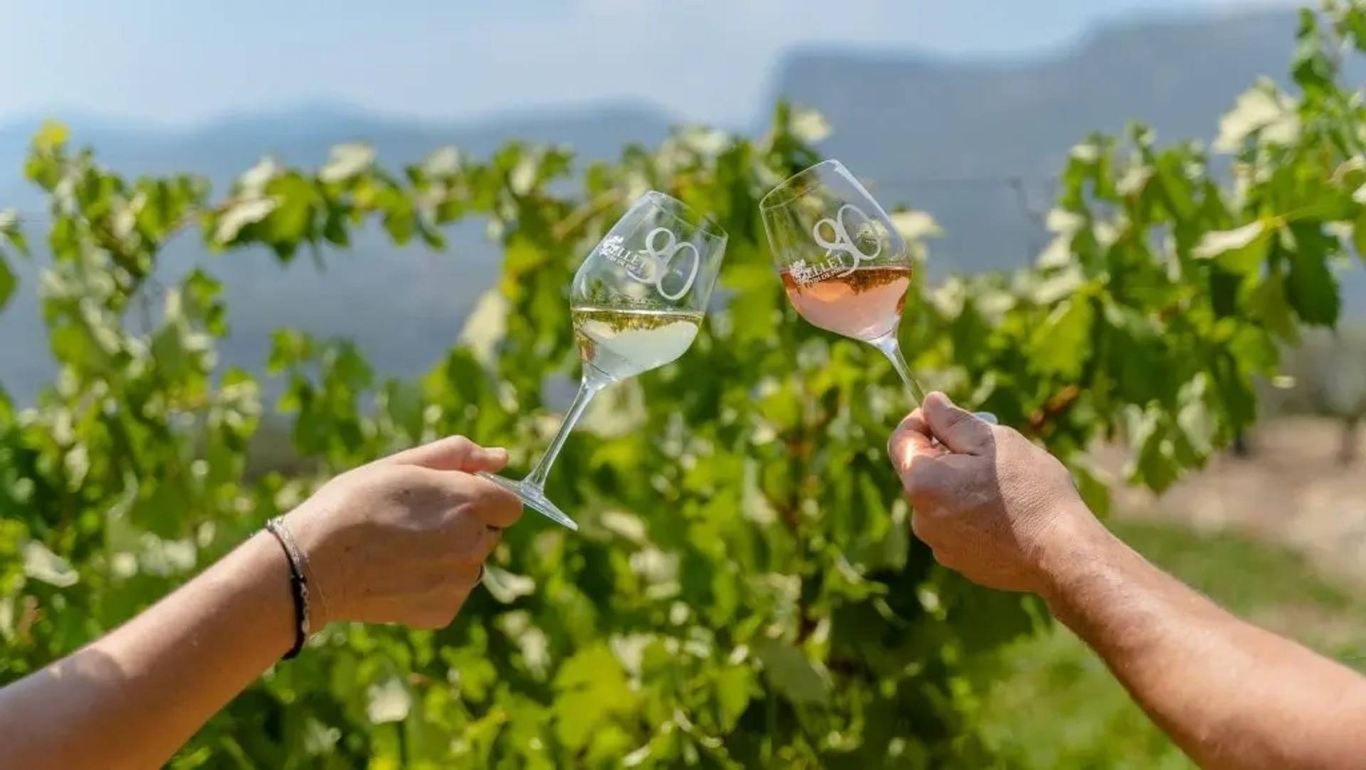 Prestige Tasting (4 wines)