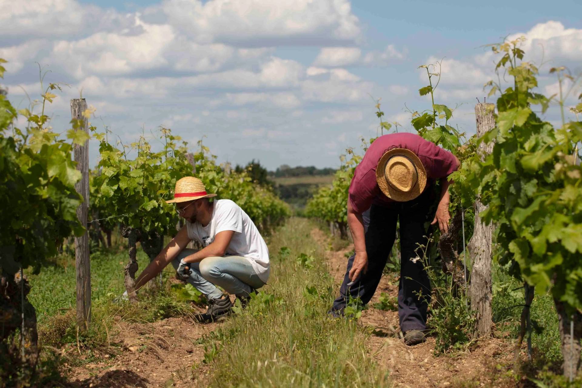 Discovery of the Château de Fesles