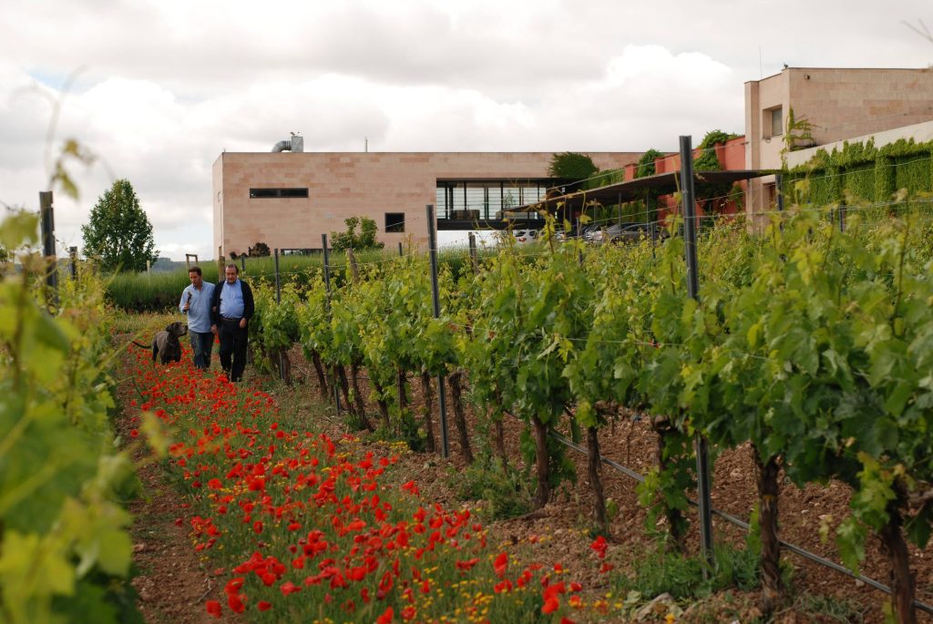 Start “In Depth”