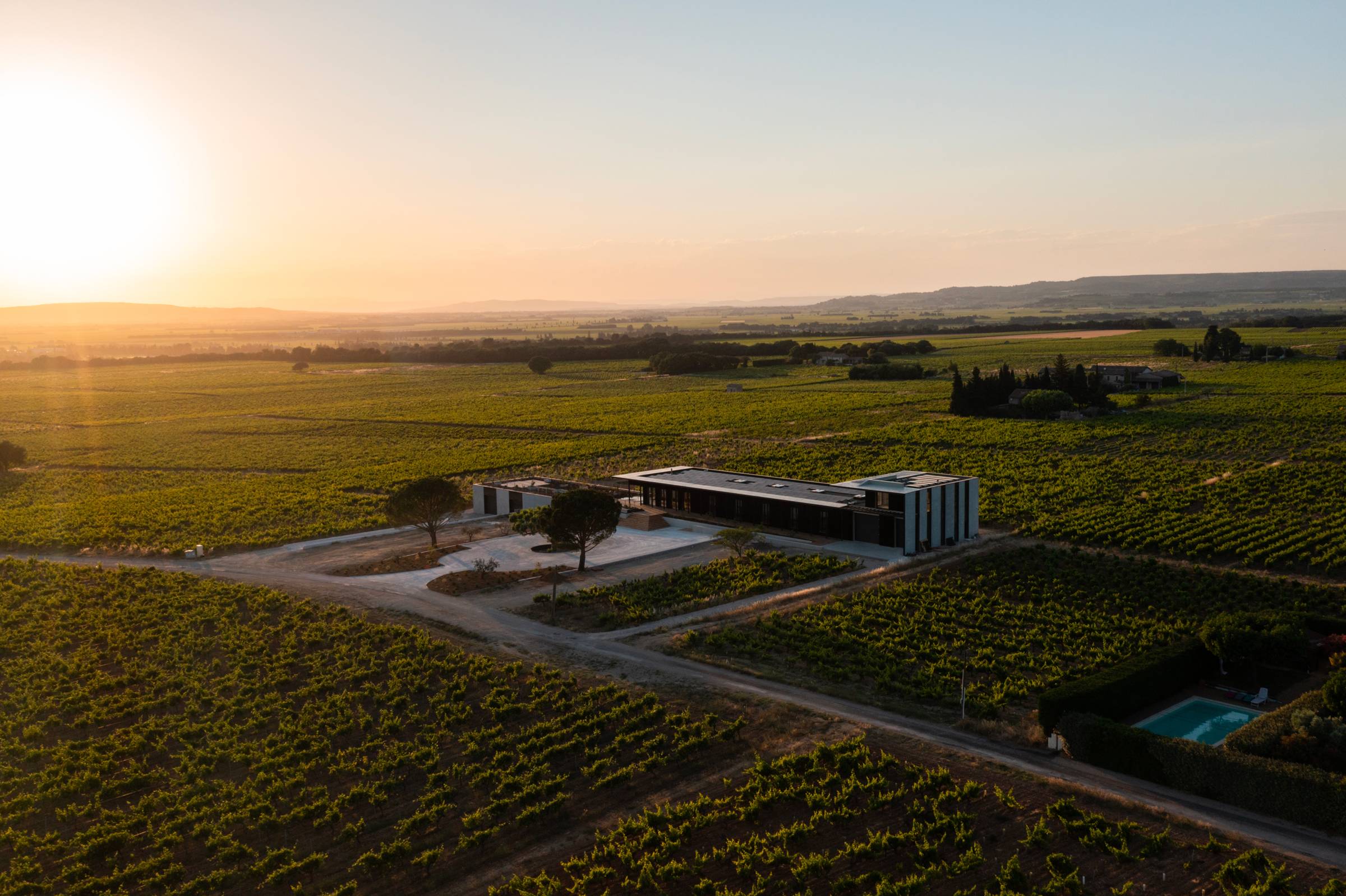 Tour “from the terroir to the bottle” in Defender