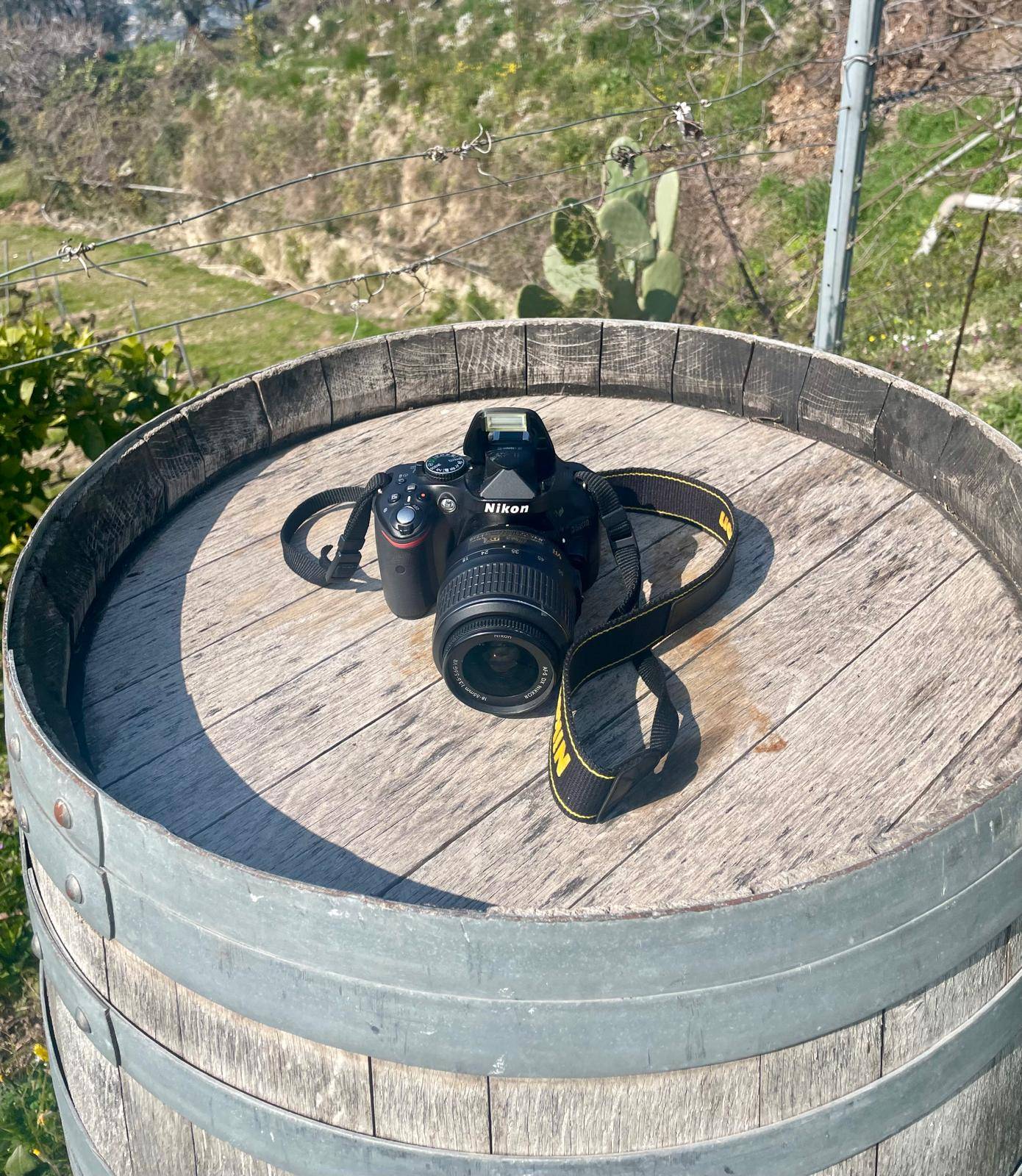 Wine and photography in the vineyards
