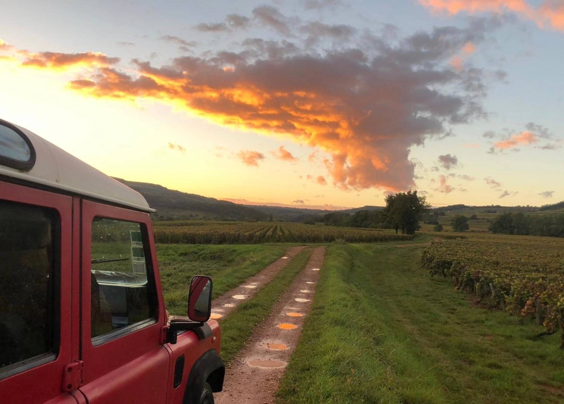 Walk in the vineyards – Tasting in the cellar