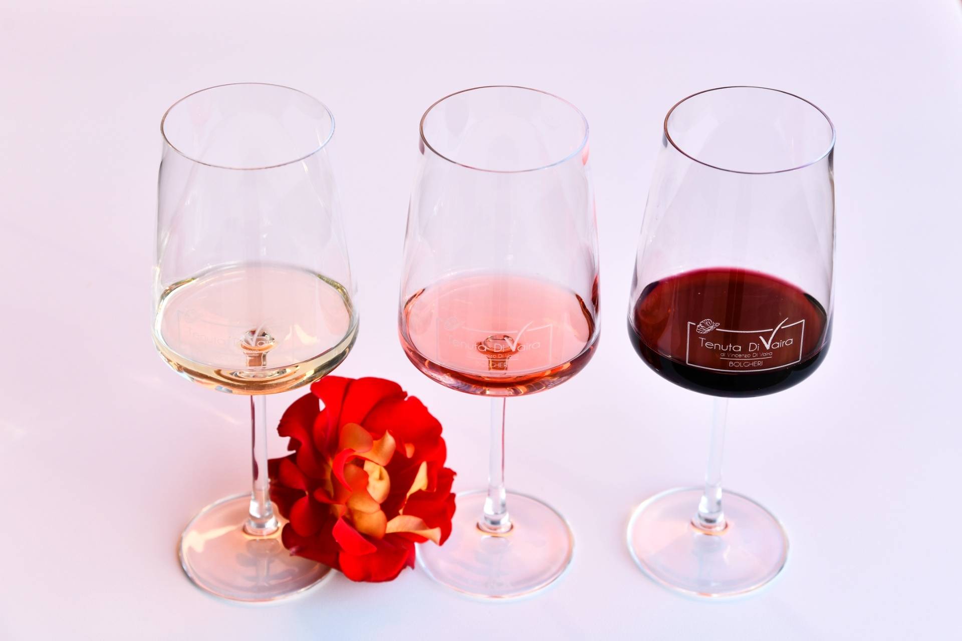 Bolgheri Essentials – Visit and Tasting