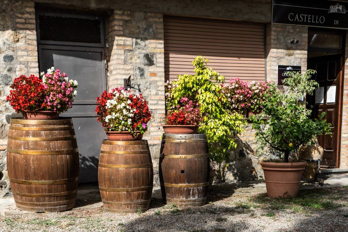 Corbara Castle: The Counts of Montemarte