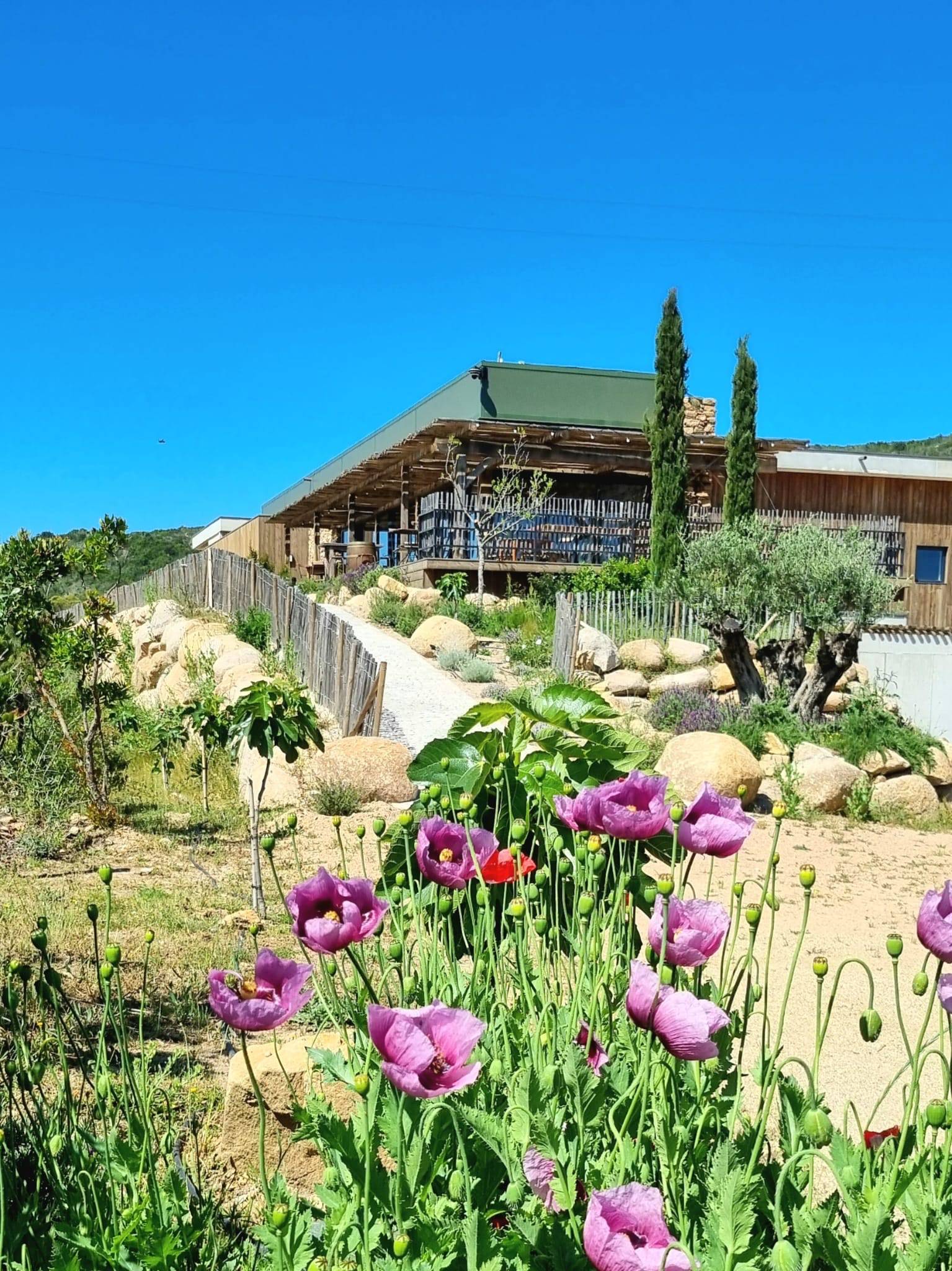 Visit of the cellar and Tasting