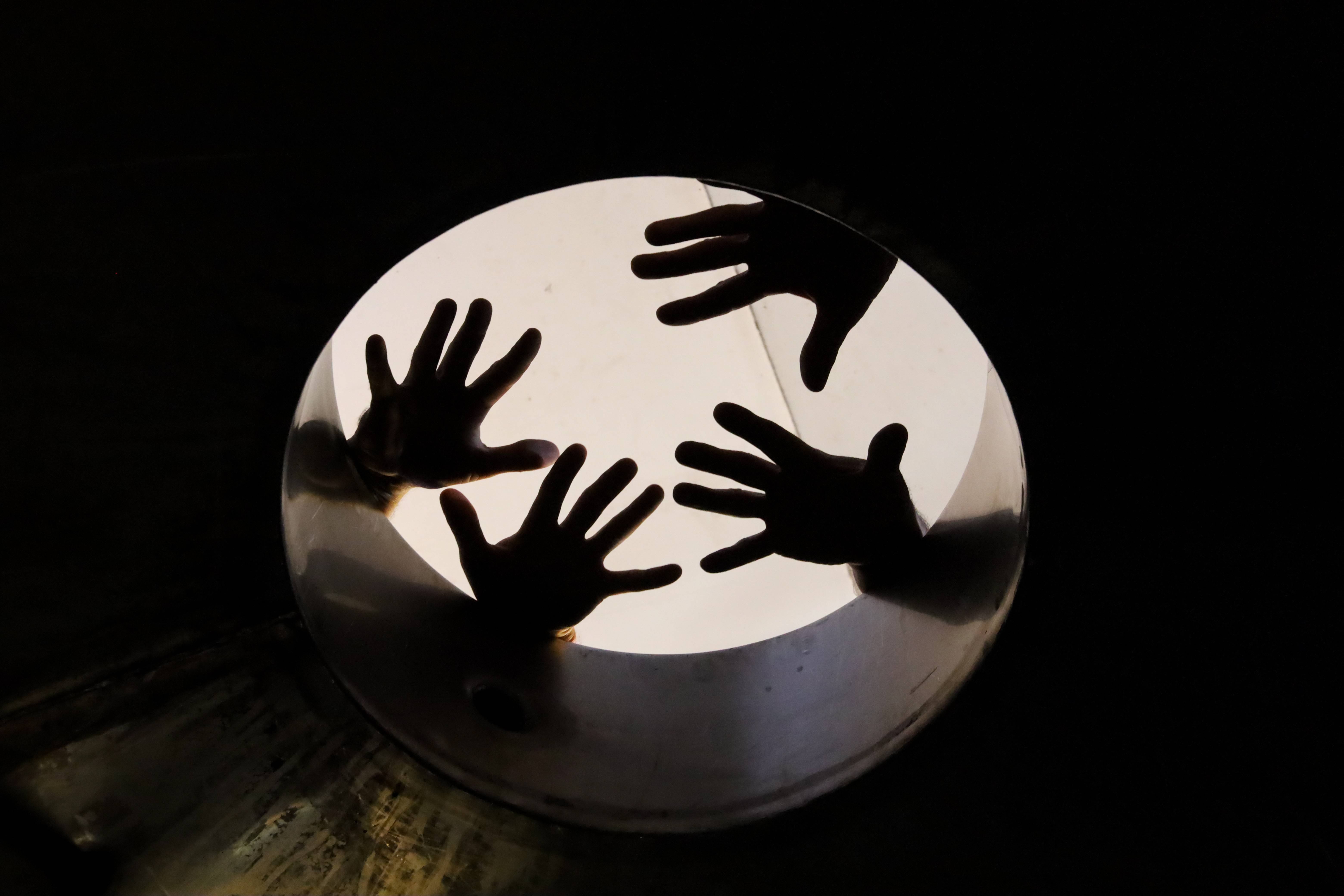 Authentic experience: visit and tasting