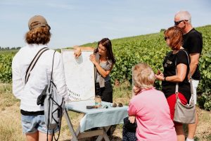 LES SENSATIONS VIGNERONNES