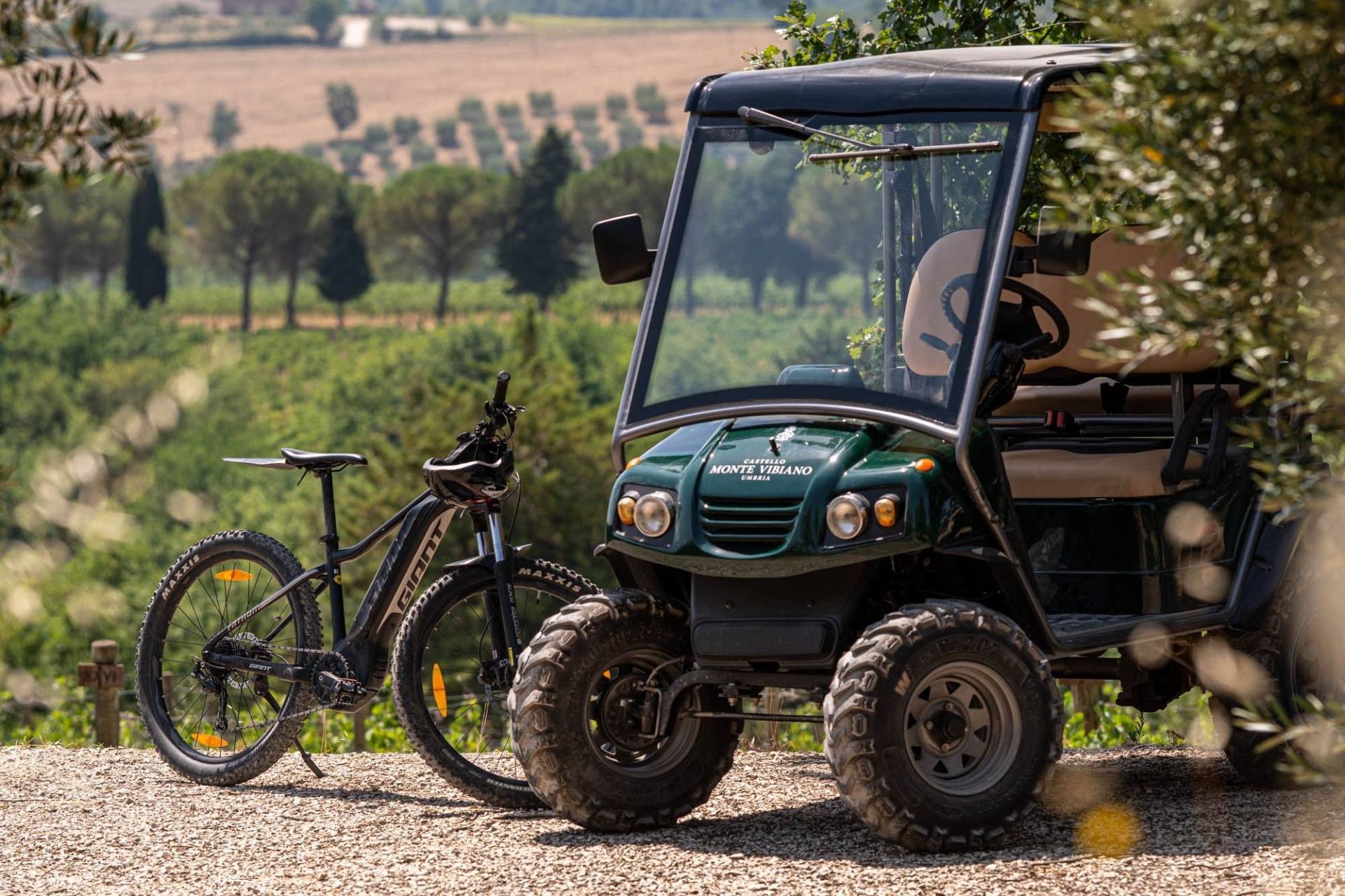 Eco Jeep Tour