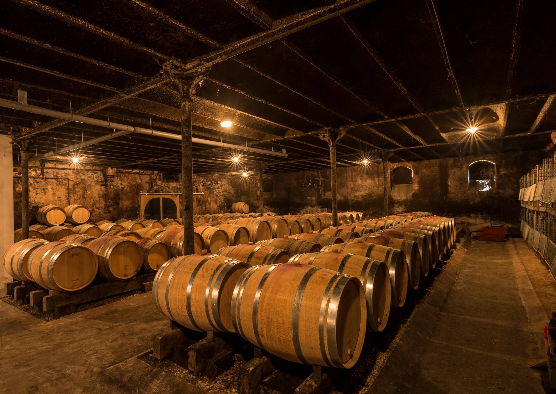 Cellar visit & tasting