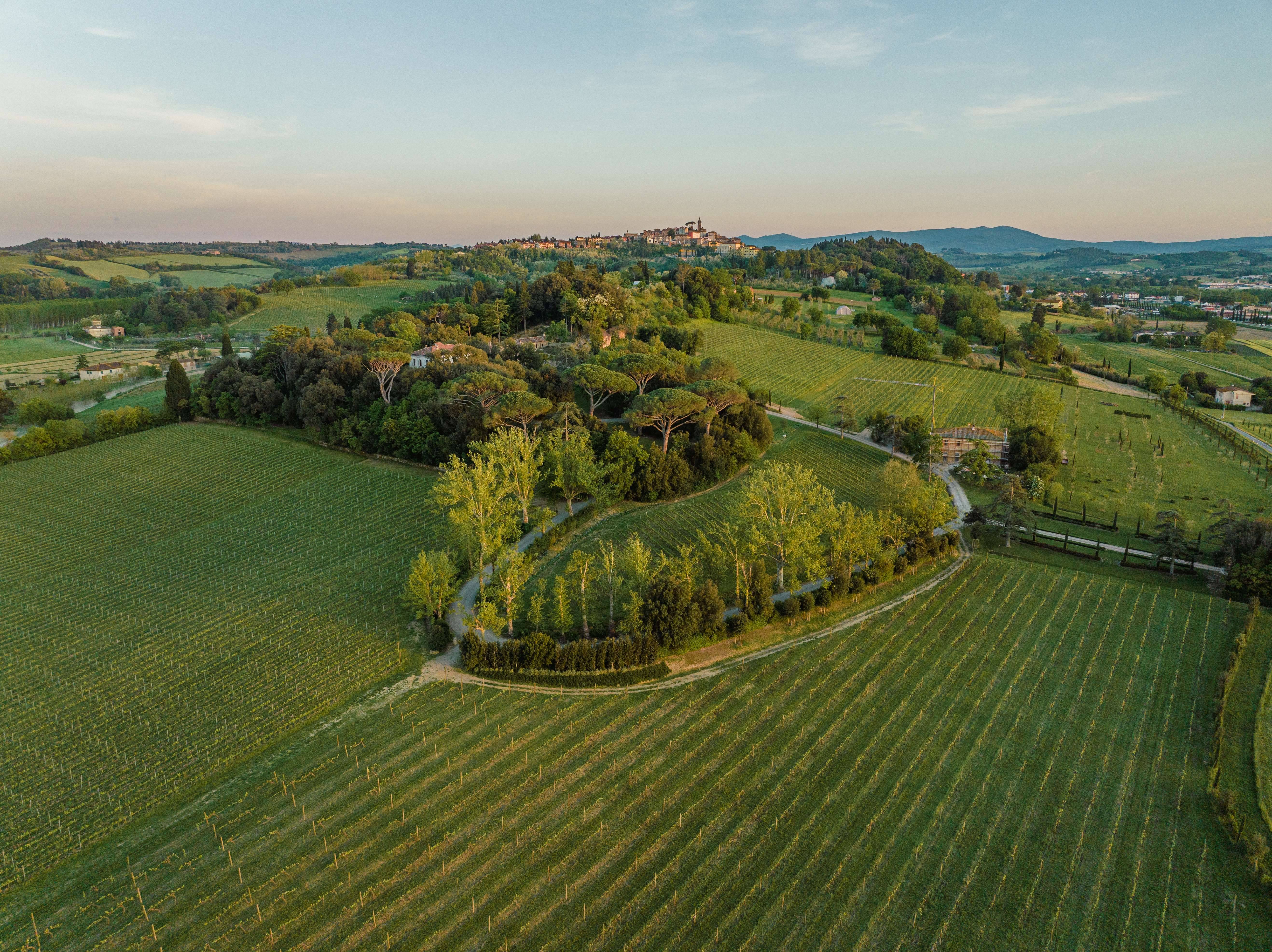 Light lunch at the Princess’ villa