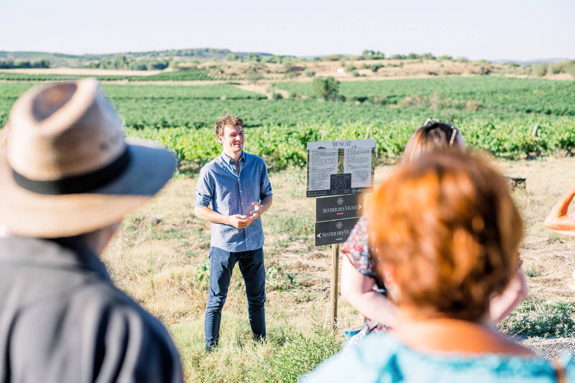 Winegrower’s Trail