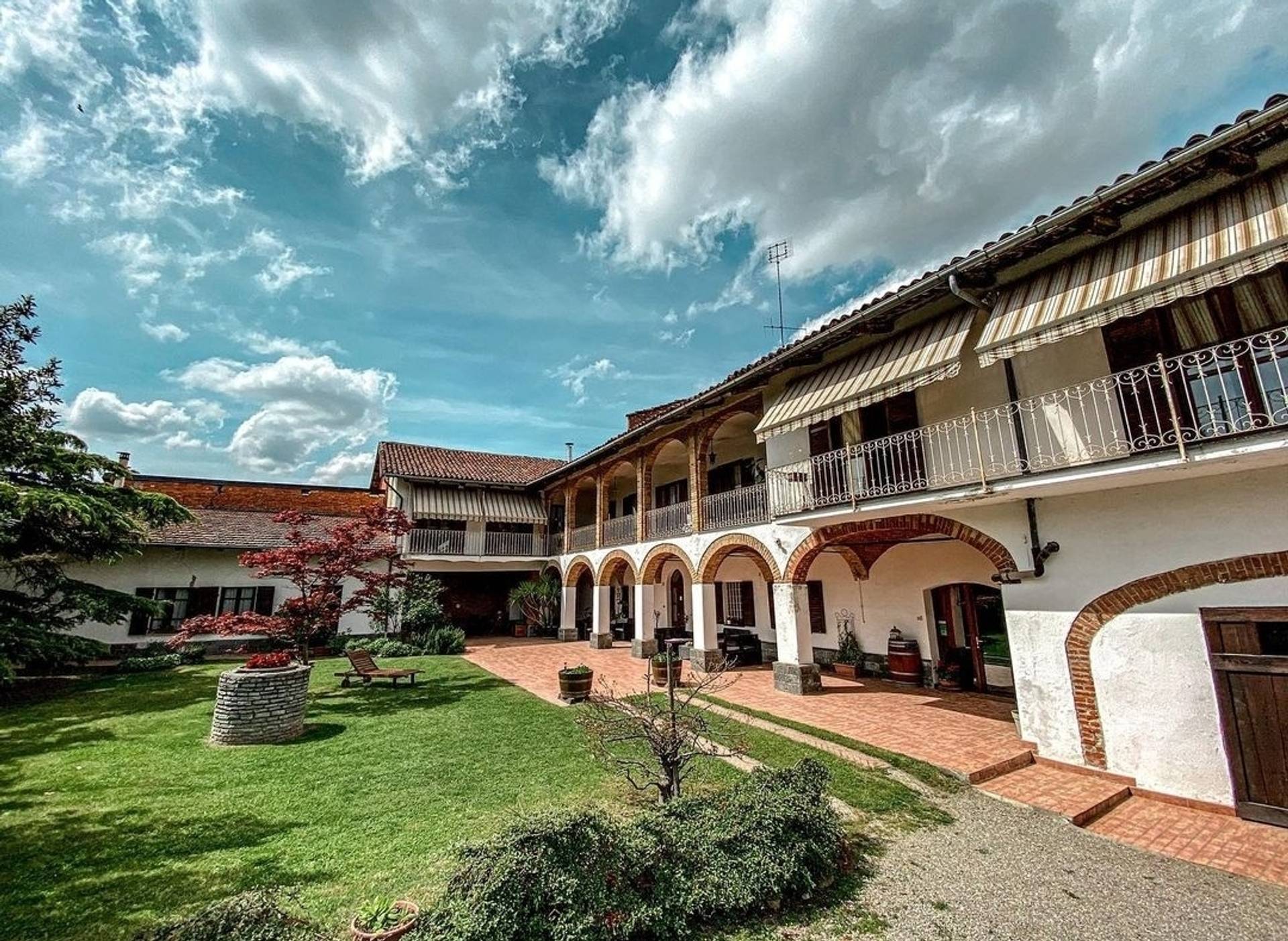 Tasting of 7 wines in Langa