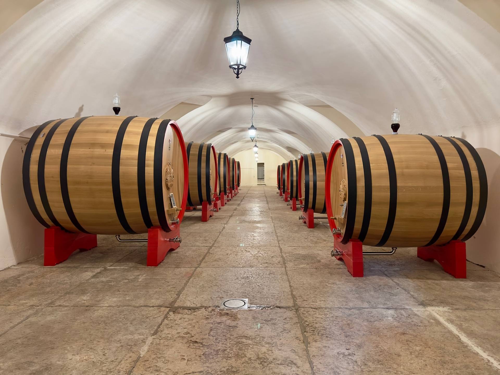 Tasting of 6 Veronese wines in a historic winery