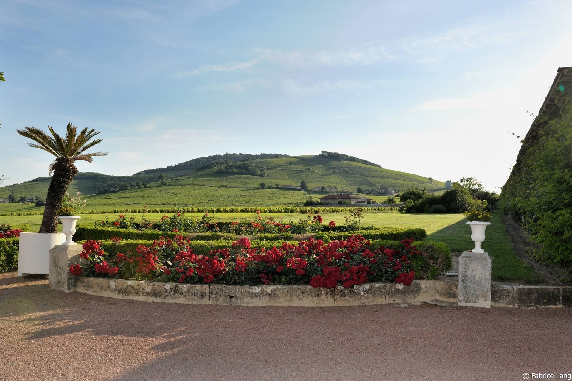 Visit, tasting and picnic at the Château