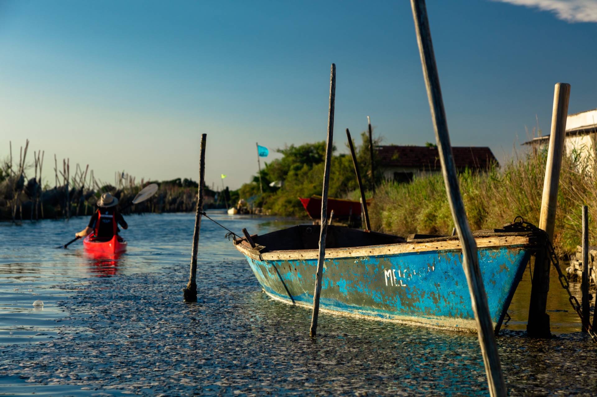 Eco-tour kayaking and gourmet tasting