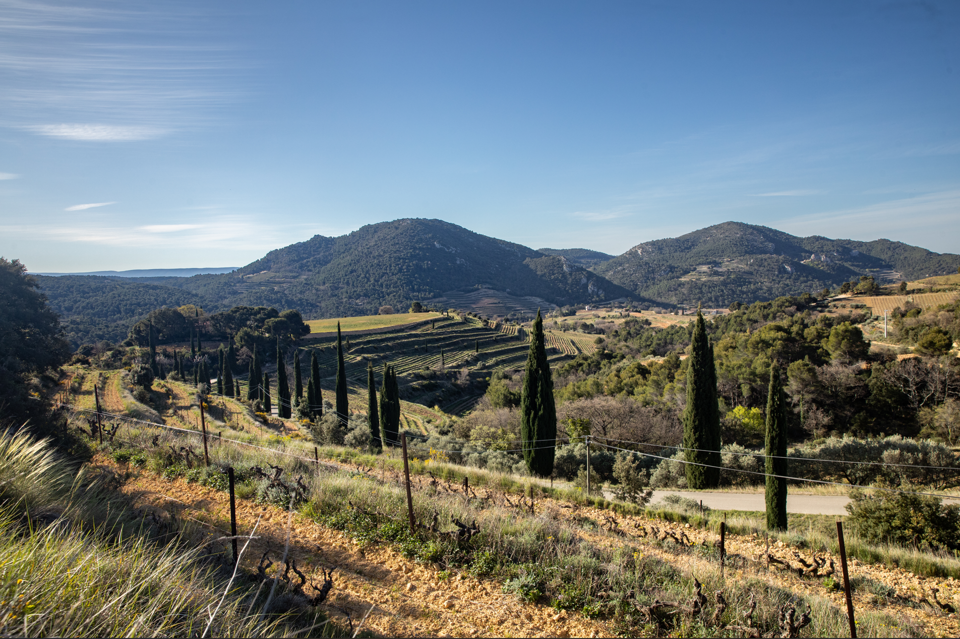 Flavorful Adventure in a Defender