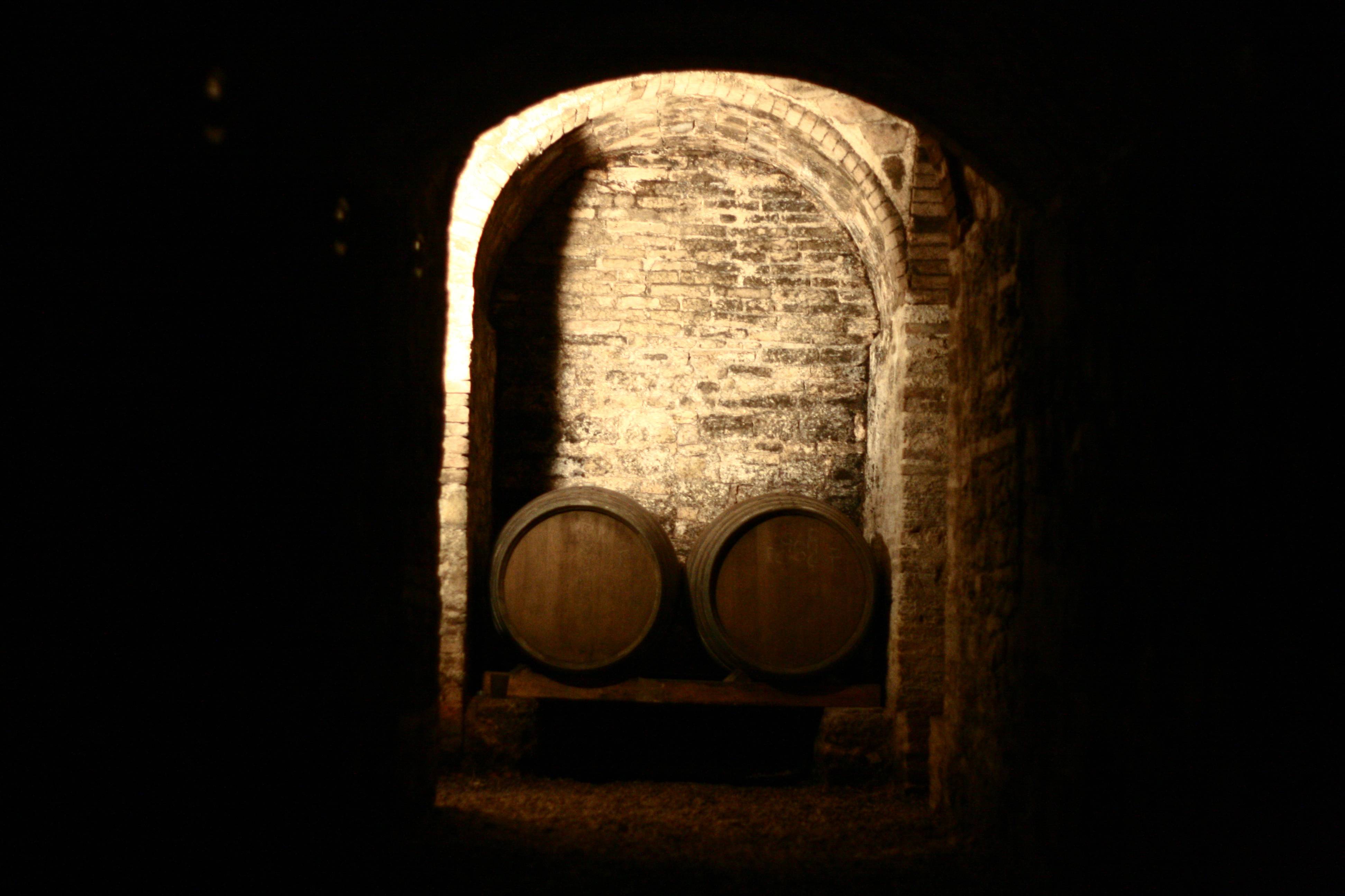 Truffle Tasting Menu