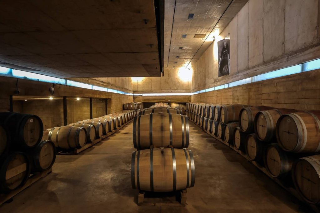 Discover Bodegas Naranjo