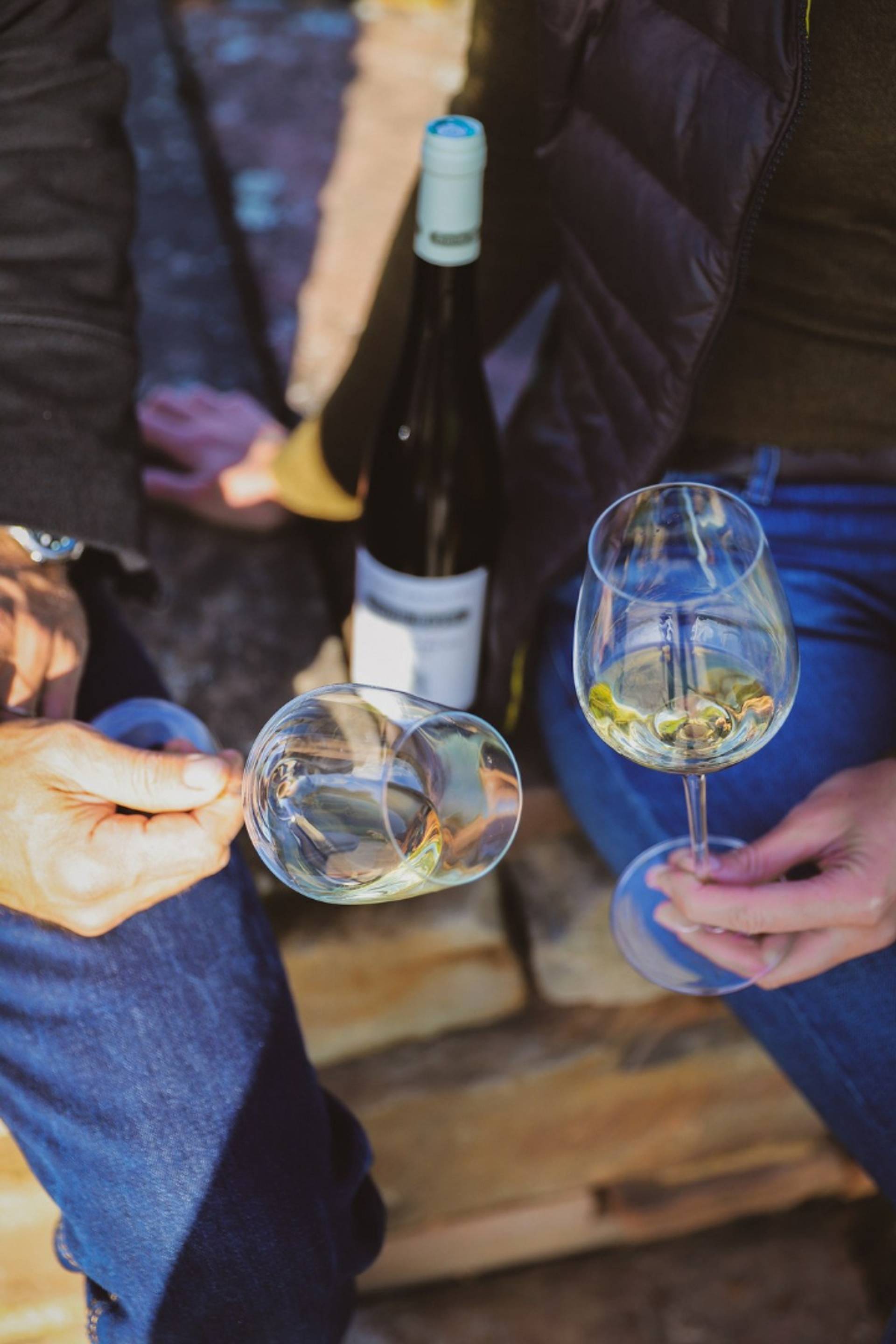 Discovery of the estate’s wines and terroirs